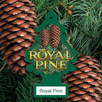 Car Air Freshener | Hanging Tree Provides Long Lasting Scent for Auto and Home | Royal Pine, 24 Air Fresheners