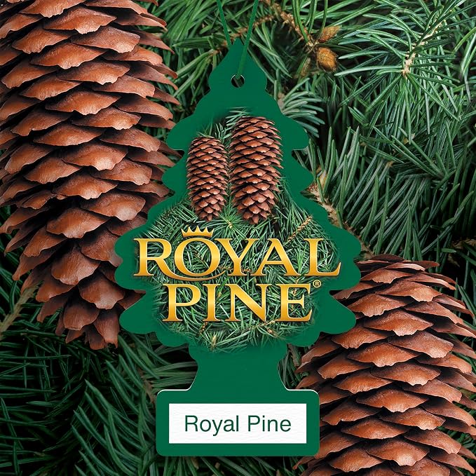 Car Air Freshener | Hanging Tree Provides Long Lasting Scent for Auto and Home | Royal Pine, 24 Air Fresheners