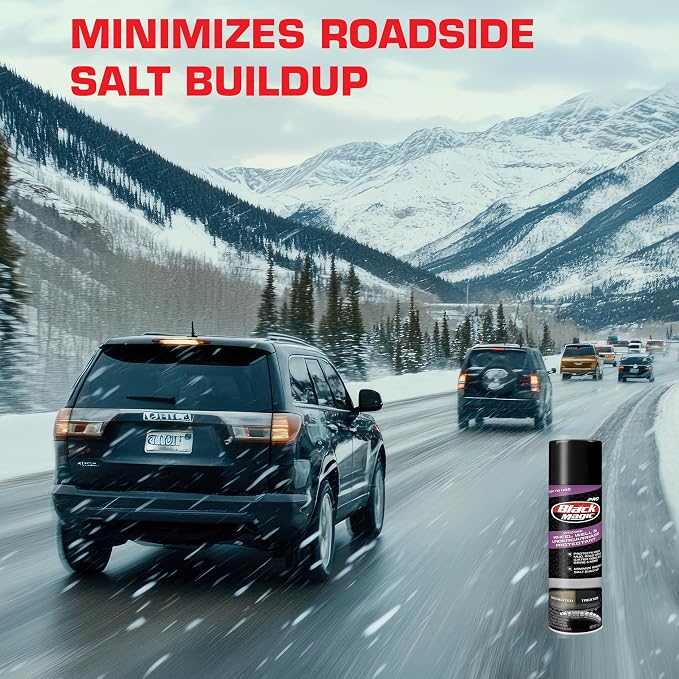 120252 Pro Wheel Well & Undercarriage Protecant from Water, Mud, Roadside Salt Build up & More, Restores to Like New Finish
