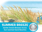 4.5 OZ Air Freshener (Summer Breeze Scent, 1 Pack)