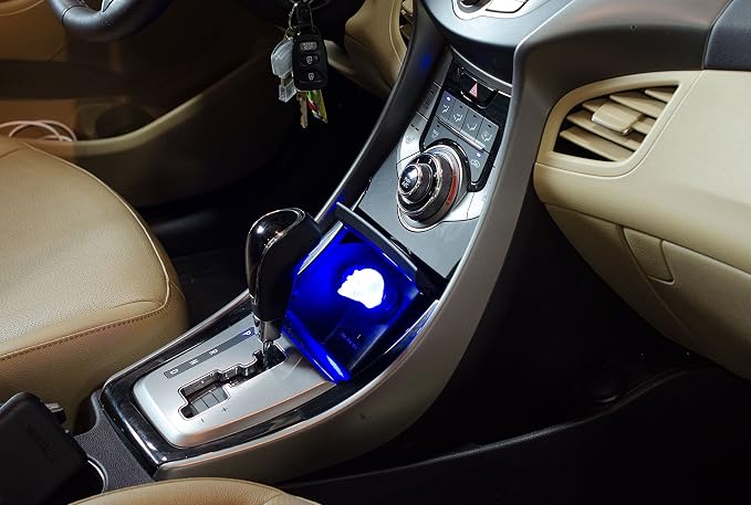 Custom Accessories 16500 Skull Dash Glow Light, White