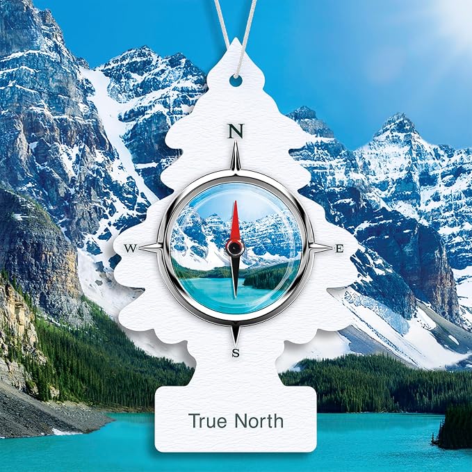 Car Air Freshener | Hanging Tree Provides Long Lasting Scent for Auto and Home | 24 Air Fresheners |True North