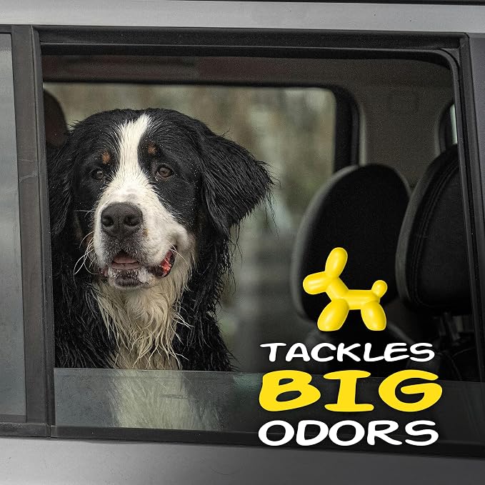 Little Pup 96602-6PK Vanilla Scent, Car Air Freshener, Clips to A/C Air Vent, Alcohol-Free Fragrance Oil, Non-Hazardous and Non-Toxic Plastic, Set of 6