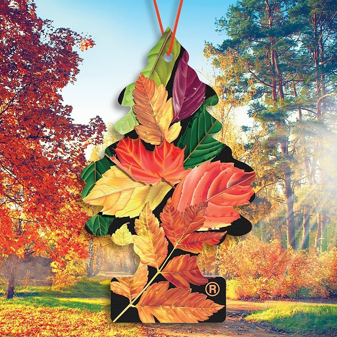 Car Air Freshener | Hanging Tree Provides Long Lasting Scent for Auto and Home | Crisp Autumn Air, 24 Air Fresheners