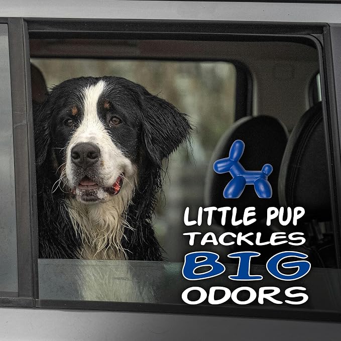 Little Pup 96603 Ocean Splash Scent, Car Air Freshener, Clips to A/C Air Vent, Alcohol-Free Fragrance Oil, Non-Hazardous and Non-Toxic Plastic, Set of 1